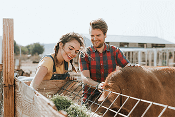 Two people are feeding and petting a horse