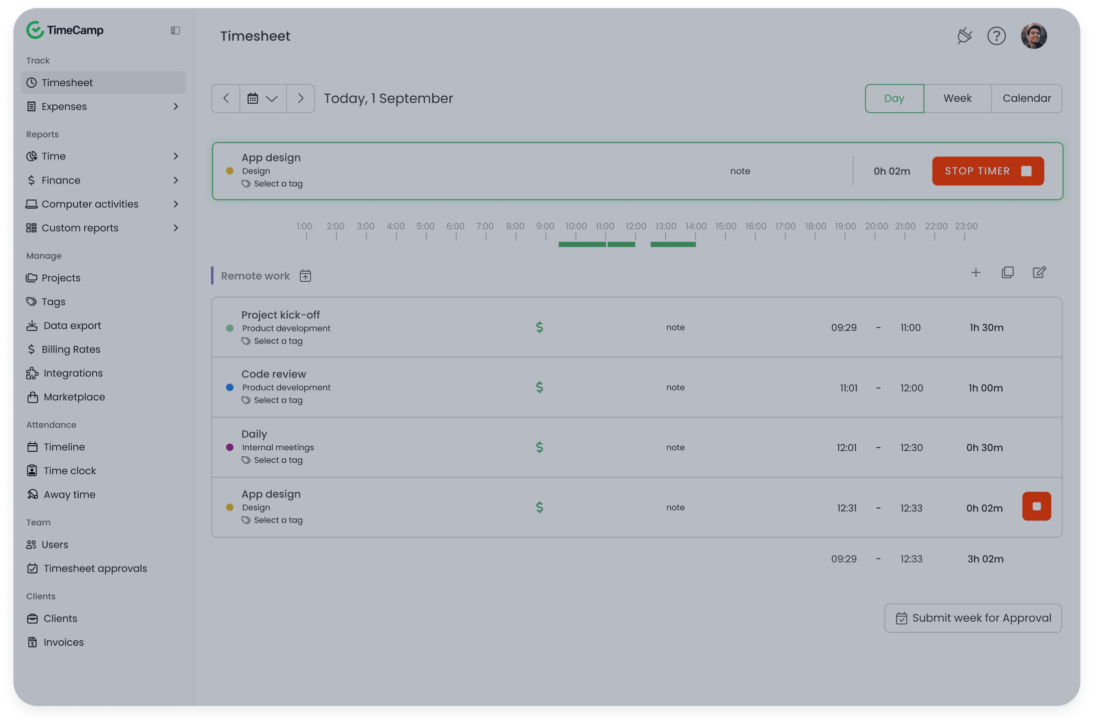 TimeCamp demo